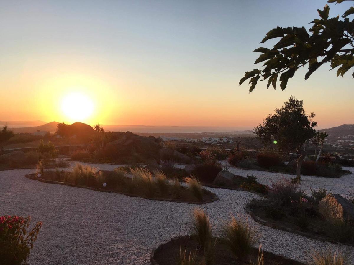 Sunset Apartments Glinado Naxos Exteriör bild